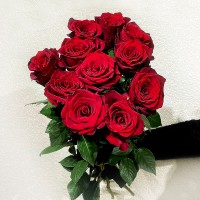 11 красных роз (50 см)